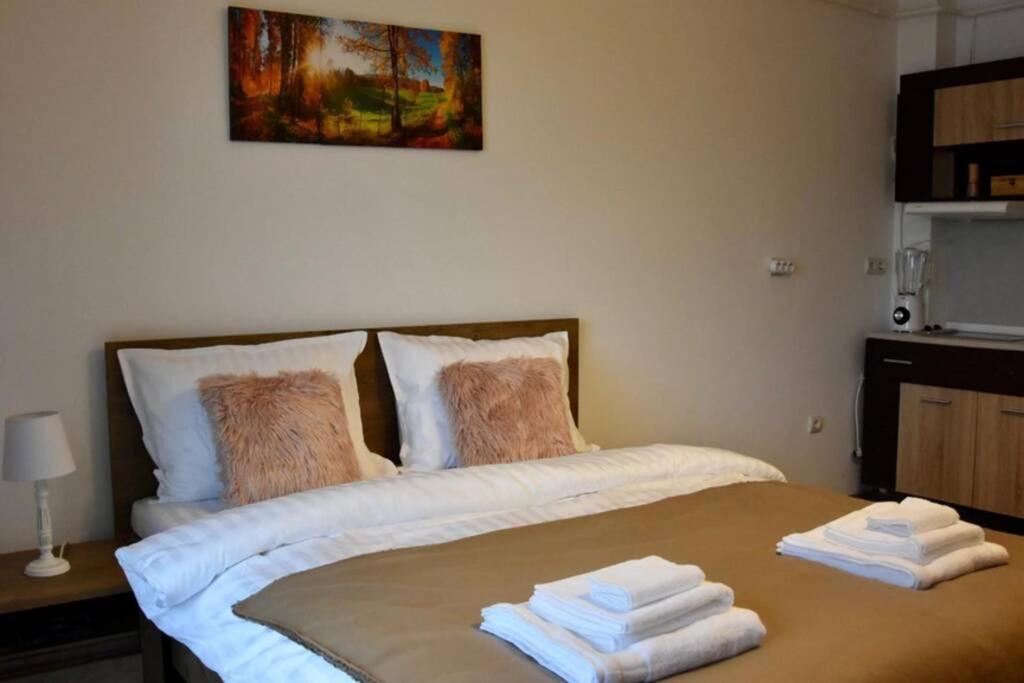 Pricop Residence Baia Mare Esterno foto